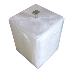 Lixeira Vênus Puxador Inox Prata - comprar online