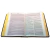 biblia-de-estudo-pentecostal-rc-edicao-global-preta-editora-cpad-46866-detalhe-interno