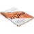 Livro Sem Rivais - Lisa Bevere - Distribuidora Ebenézer - Atacado Para Livraria Cristã