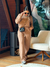 Conjunto Moletom Colômbia Marrom - comprar online