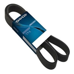Correia Poli - V - DAYCO - 3PK905