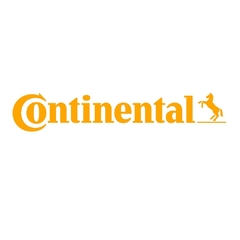 bomba-de-combustivel-universal-flex-4-2-bar-228234103r2