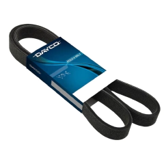 Correia Poli - V - Dayco - 5PK1165