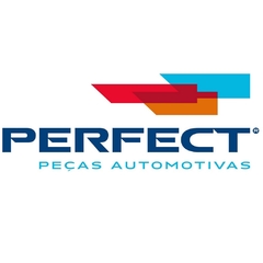 terminal-de-direcao-perfect-tdi0126