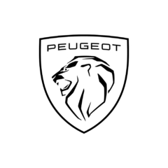 kit-alarme-peugeot-206-207-original-ala206207
