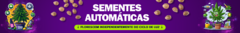 Banner da categoria Automáticas feminizadas