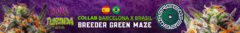 Banner da categoria Breeder GREEN MAZE ️® . PERFEITA PARA EXTRAÇÃO!