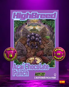 Açai Chocolate Punch . Auto e Foto - HighBreed na internet