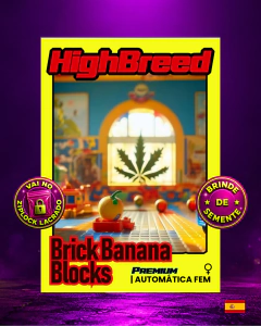 BRICK BANANA BLOCKS . Auto e Foto - HighBreed na internet