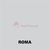 COLORPLUS ROMA 180G 20 FOLHAS A4 - comprar online
