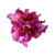 Porta Guardanapo Bougainvillea Fucsia