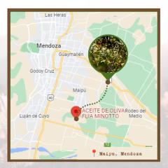 Aceite de Oliva Saborizado 250 ml. Minotto - comprar online