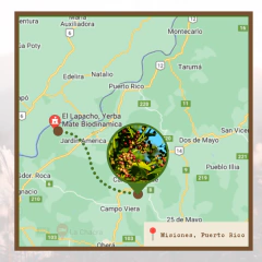 Yerba Mate Canchada. 500 g. Arapeguá - comprar online