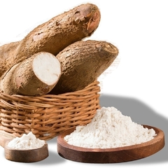 Fécula de mandioca Agroecológica x 500 GR