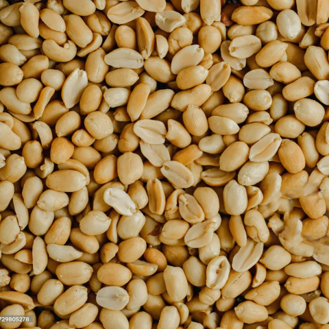 Mani tostado pelado SIN SAL X 100 GR