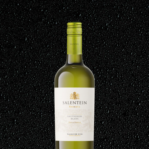 Salentein Reserva Sauvignon Blanc 750ml - comprar online