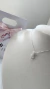 Colar Gatinho na internet