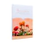 combo-devocional-5-livros-editoras-thomas-nelson-vida-45197-min