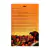 livro-biblia-em-acao-para-todas-as-horas-sergio-cariello-editora-geografica-sku-48283-sumario-site-min