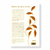 Livro-diario-de-uma-salmista-48680-capa-verso-site