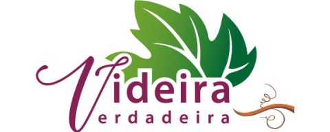 Videira Verdadeira - Livraria Cristã há mais de 20 anos