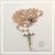 Rosario de Cristal - Paolisi - comprar online