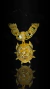 pitbull 12mm c/ pitbull G - loja online
