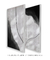 Imagem do Dupla Quadros Abstratos Decorativos Black Blur 1 e 2