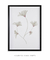 Quadro Abstrato Decorativo Nude Flowers 2 na internet