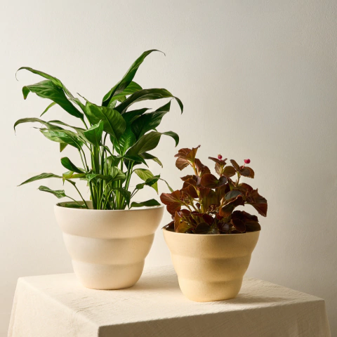 Maceta Cairo - comprar online