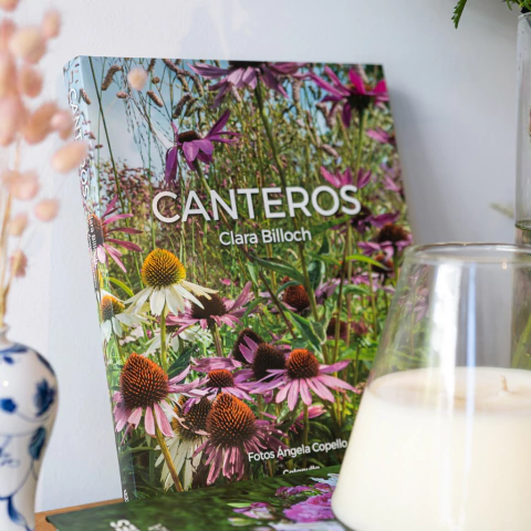 Clara Billoch: Canteros