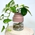 Hidroterrario Mediano - tienda online