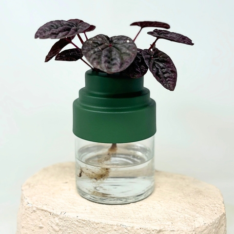 Hidroterrario Mediano - comprar online