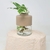 Hidroterrario Chico - comprar online