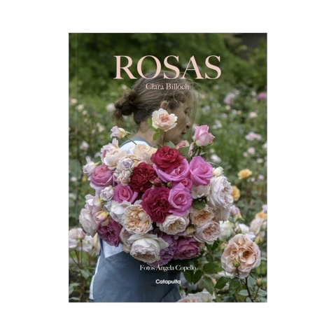 Rosas - Clara Billoch
