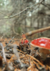 Amanita I - comprar online