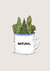 Natural - comprar online