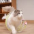 TOIN CAT - BRINQUEDO TÚNEL MOLA PARA PET na internet