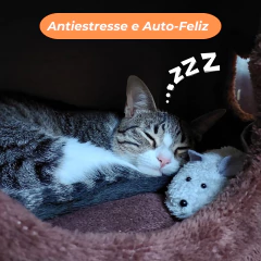 Kit com 3 Ratinhos de Microfibra – Brinquedo para Gatos Seguro e Divertido | Envio para Todo o Brasil - Meu Gato Minha Vida - Arranhadores, Casinhas e Caminhas Sustentáveis para seu pet gato