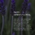 Bliss Energy Mist Spray Harmonizante - loja online