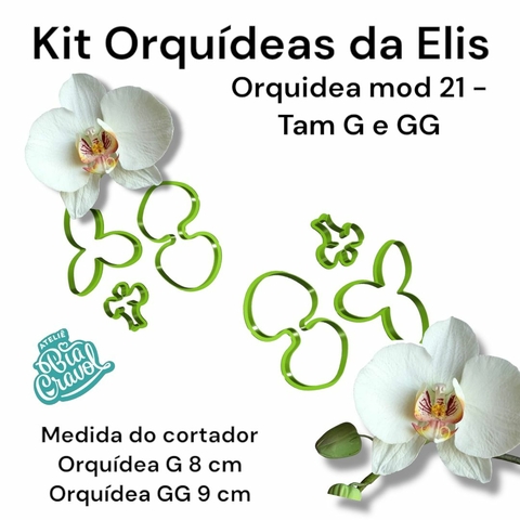 Combo de Orquideas - Elis Rebouças - By Bia Cravol