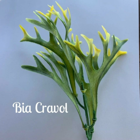 Mini Chifre de Veado