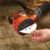 LIXADEIRA ROTO ORBITAL 5" 127MM 180W - BDERO100 - BLACK E DECKER - comprar online