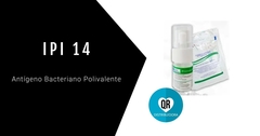 IPI 14® Antígeno Bacteriano Polivalente: Vacuna Inmunoestimulante para la Prevención de Infecciones Respiratorias Recurrentes