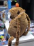 Mochila peluche capibara - comprar online