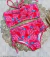 BIQUINI LIZ FUNDO DO MAR ROSA - comprar online