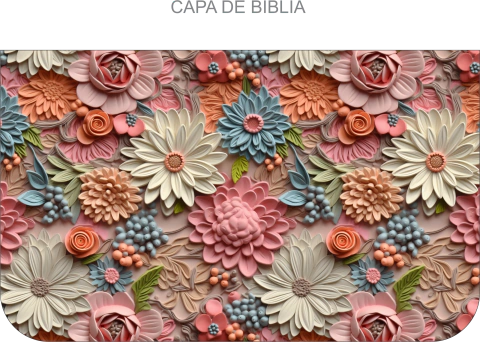 Capa de Bíblia ou Livro CB62