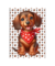 Naninhas Contorno Dogs pequena DOG11