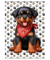 Naninhas Contorno Dogs pequena DOG24