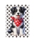 Naninhas Contorno Dogs pequena DOG05
